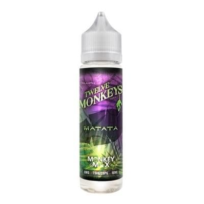 Matata by Twelve Monkeys